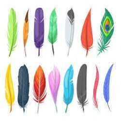 plumas